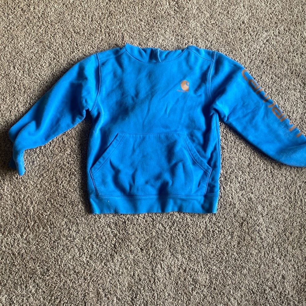 carhartt blue sweatshirt